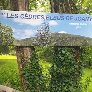 Les Cedres Bleus De Joany Hotel Viviez Exterior photo