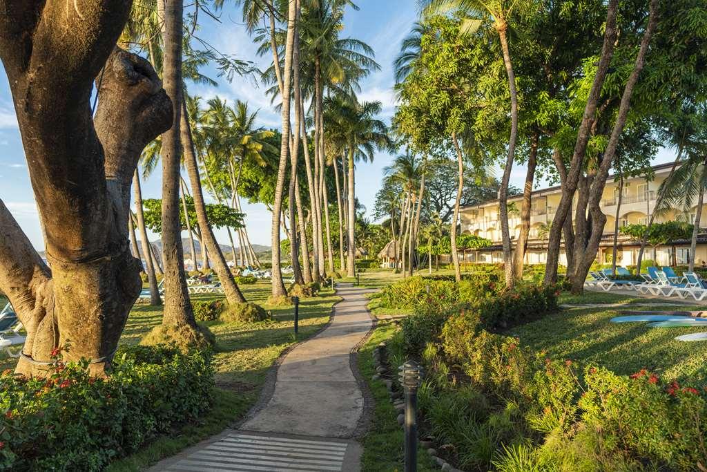 Hotel Tamarindo Diria Beach Resort Létesítmények fotó