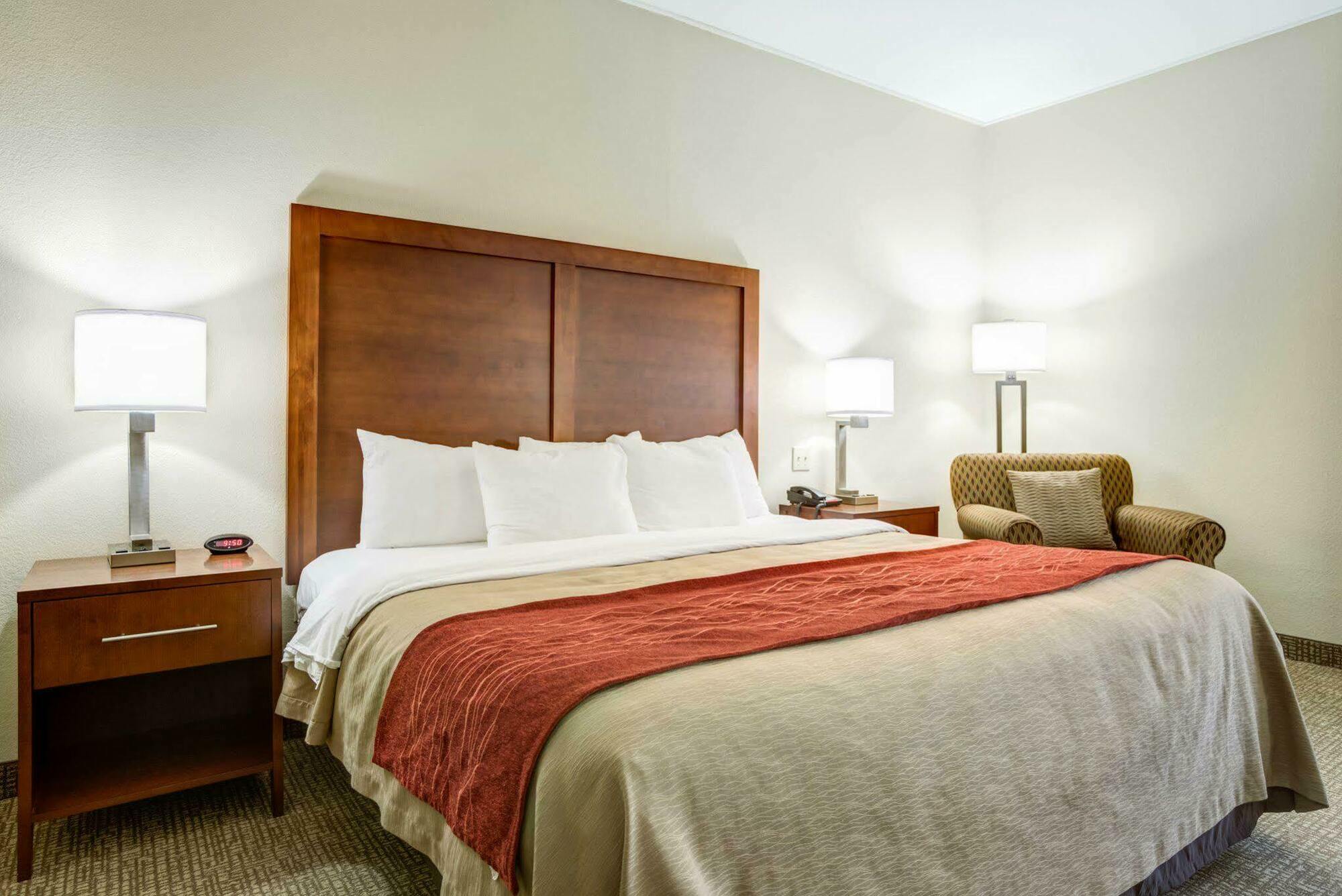 Comfort Inn & Suites Clemson - University Area Kültér fotó