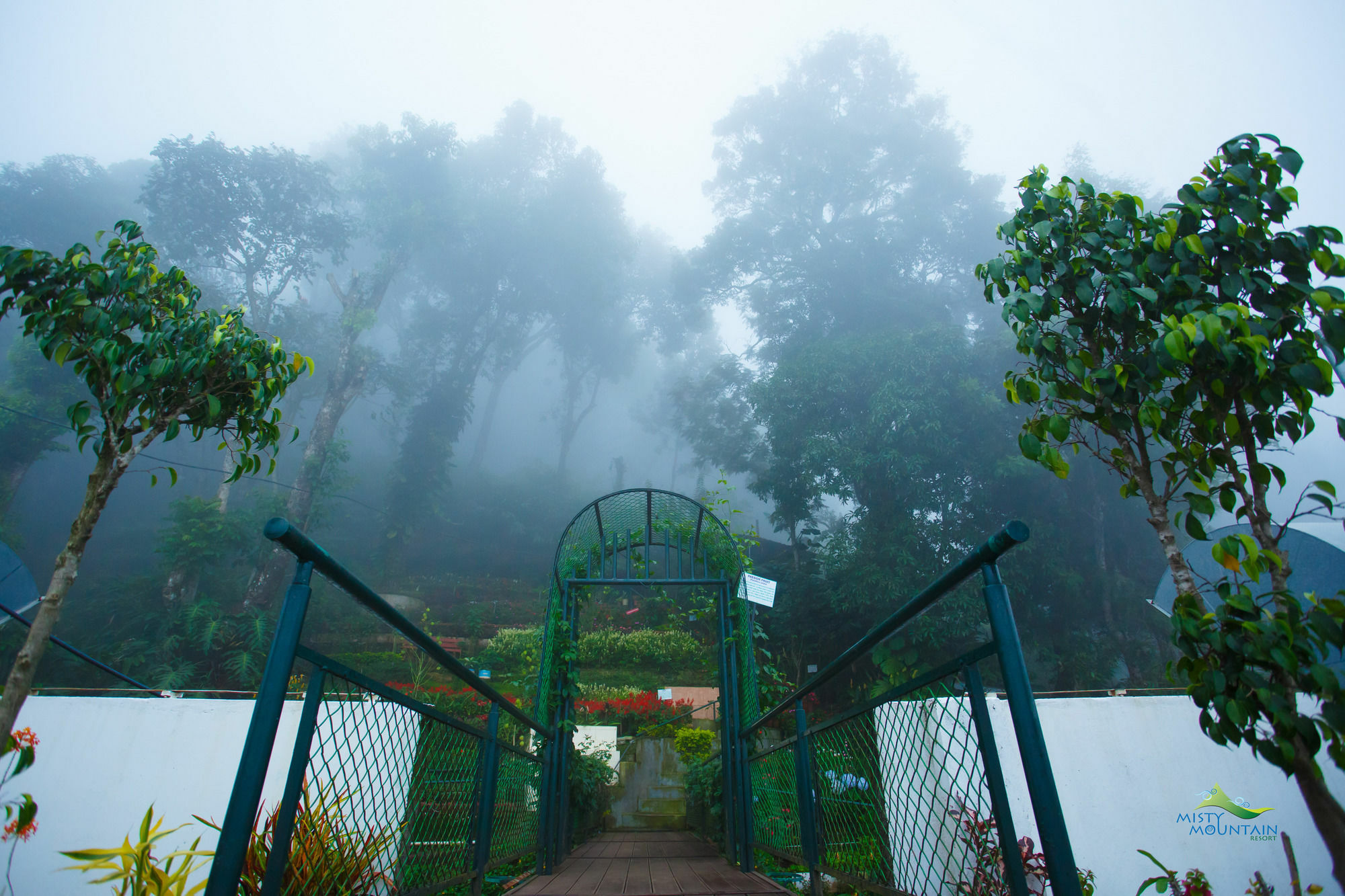 Misty Mountain Resort Munnar Kültér fotó