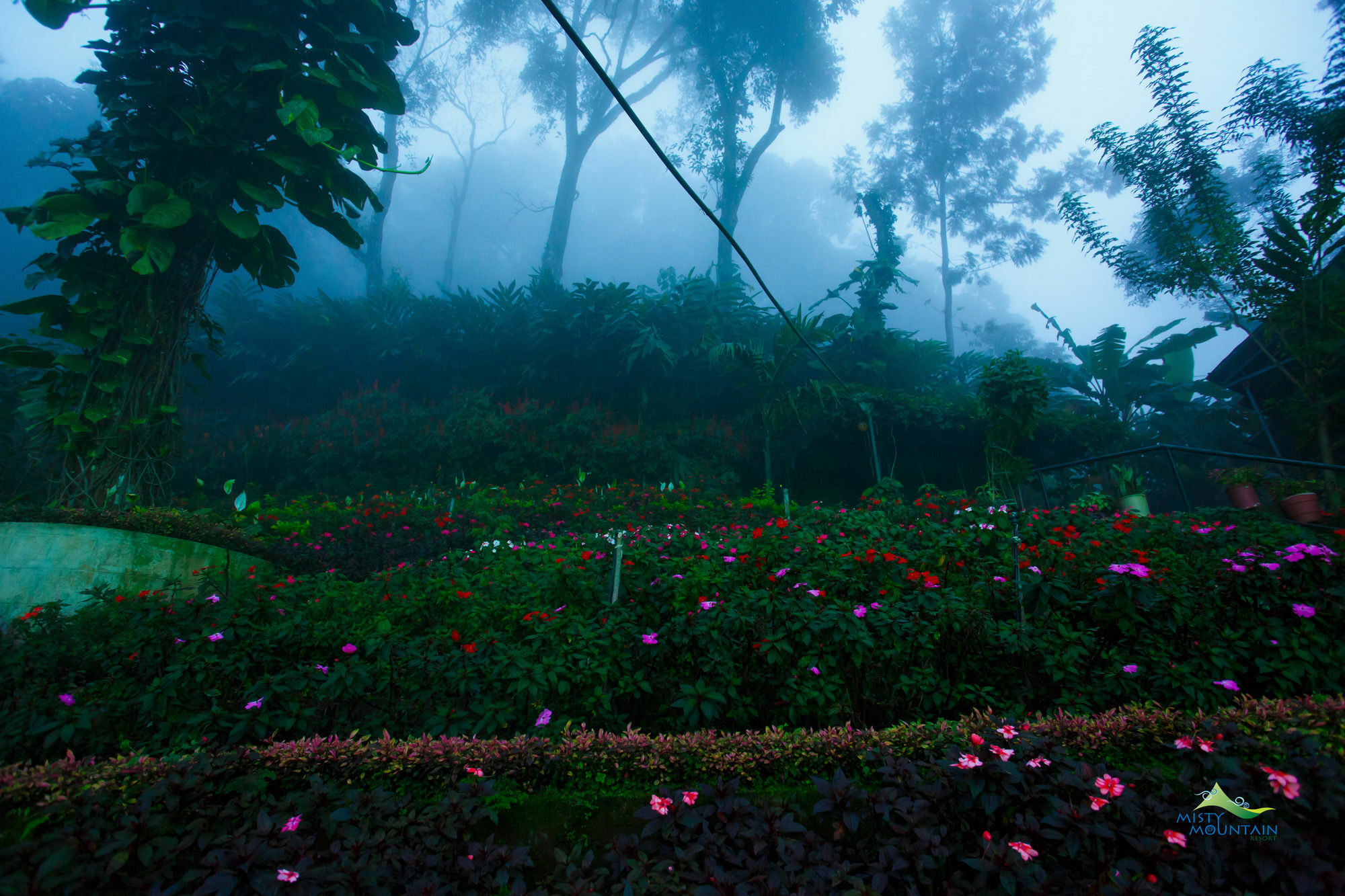 Misty Mountain Resort Munnar Kültér fotó