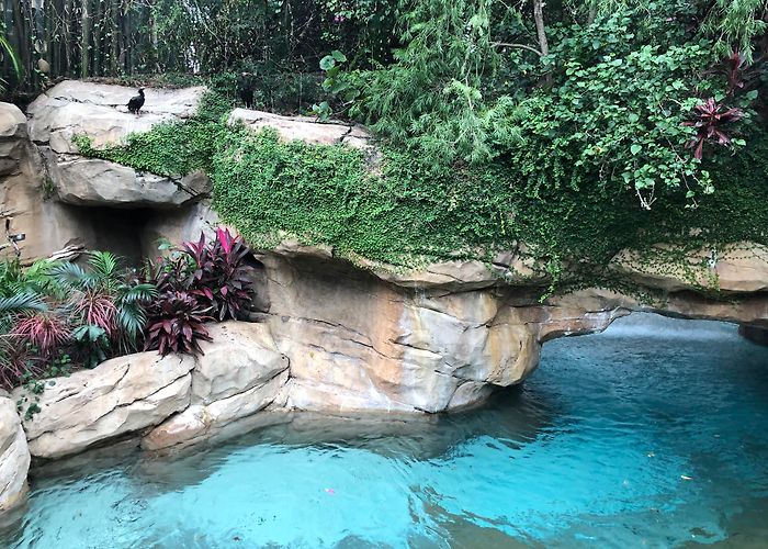 Discovery Cove photo