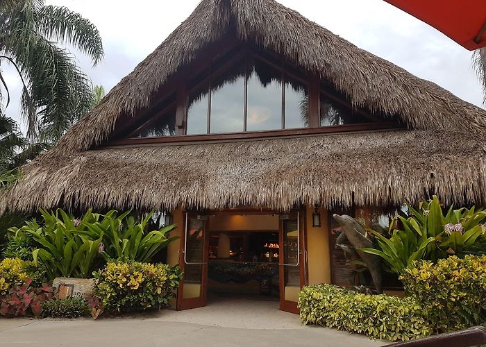 Discovery Cove photo