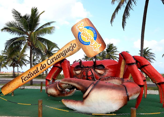 Passarela do Caranguejo Festival do Caranguejo começa nesta quinta-feira - Prefeitura de ... photo