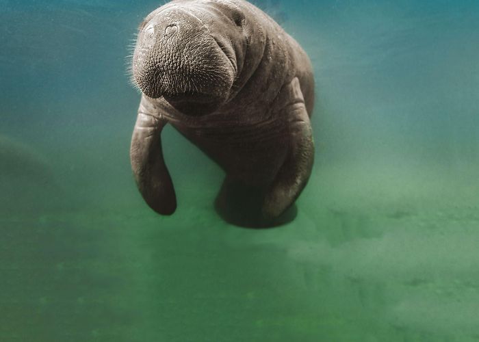 Association Cathédrale Sainte Cécile d'Albi ACSA May-June 2023 by thenetworkmagazine - Issuu photo