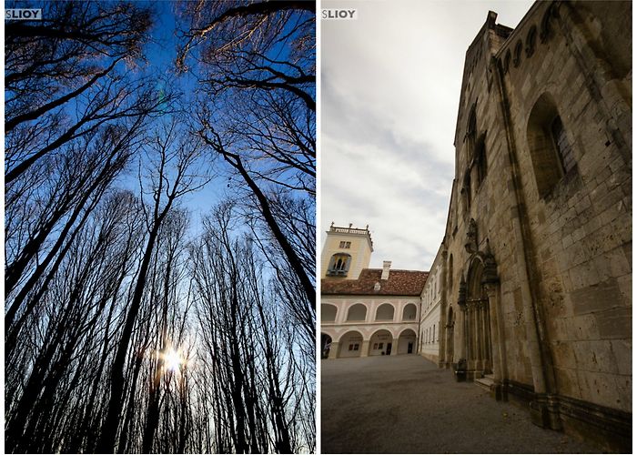 Heiligenkreuz Abbey Exploring the Vienna Woods: Mayerling, Seegrotte, and more. photo
