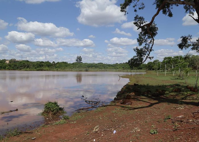 Lago do Amor Contra poluição, bombeiros promovem ação de limpeza no Lago do ... photo