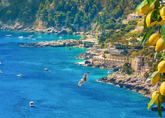 Marina Piccola - Capri Marina Piccola Capri - J.K. Place Capri photo