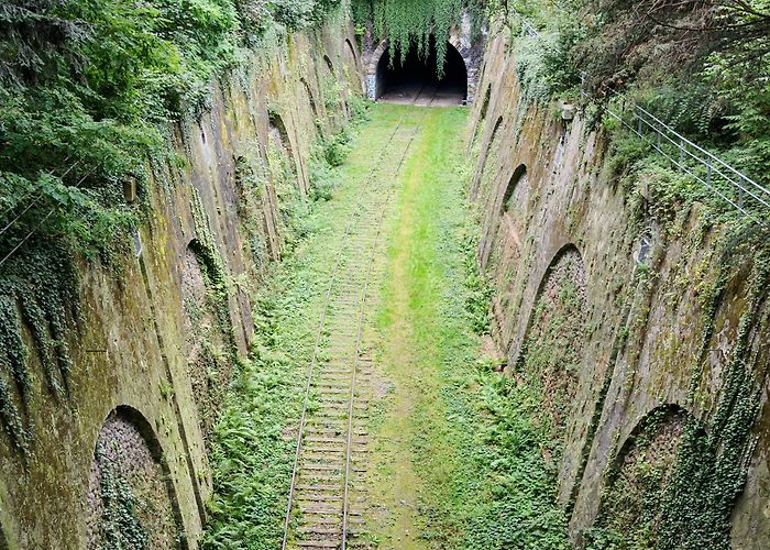 Parc Montsouris Parc Montsouris Tours - Book Now | Expedia photo