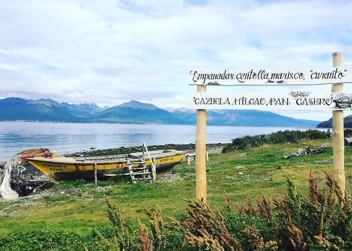 Almanza Harbour Visit Almanza Port: 2024 Travel Guide for Almanza Port, Tierra del ... photo