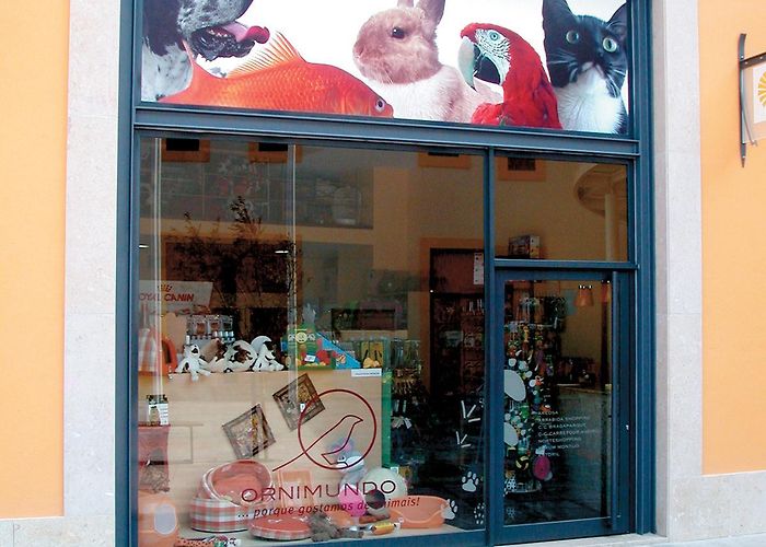 Forum Montijo Ornimundo :: Behance photo