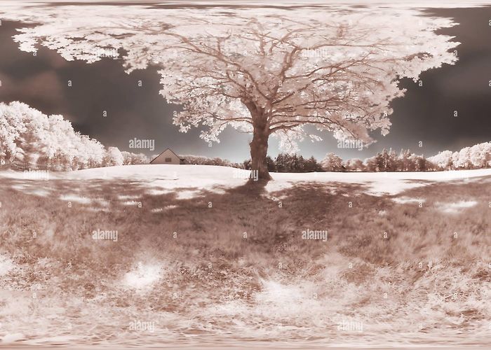 The Fountain of Youth Forest of paimpont hi-res stock photography and images - Page 3 ... photo