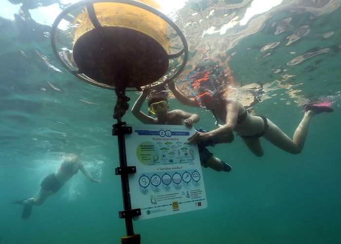 Le Sentier Sous-Marin de Cerbere-Banyuls SENTIER SOUS MARIN DE CERBERE BANYULS | CERBERE | Submarine Trail ... photo