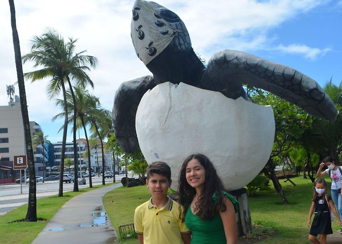 Oceanario de Aracaju Oceanário de Aracaju, o Projeto Tamar ⋆ Família que viaja junto photo
