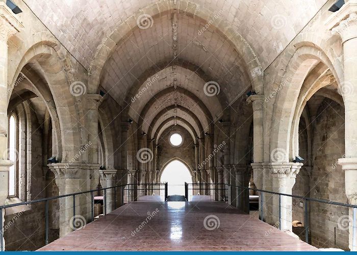 Santa Clara a Velha Monastery Monastery of Santa Clara-a-Velha, History, Ancient, Architecture ... photo