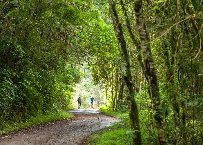 Convention Center - Fundaparque Things to Do in Bento Goncalves in 2024 | Expedia photo