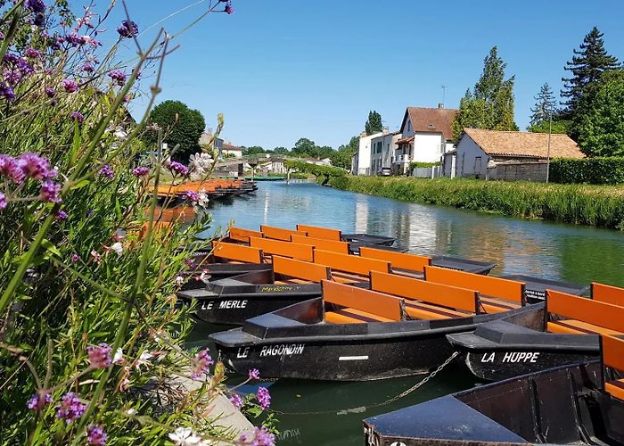 Maison du Marais poitevin Coulon, Small Cities of Character® and capital of Green Venice ... photo