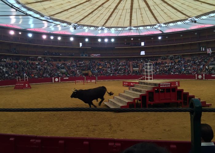 Misericordia Bullring Las Fiestas del Pilar | Erasmus blog UNIZAR photo