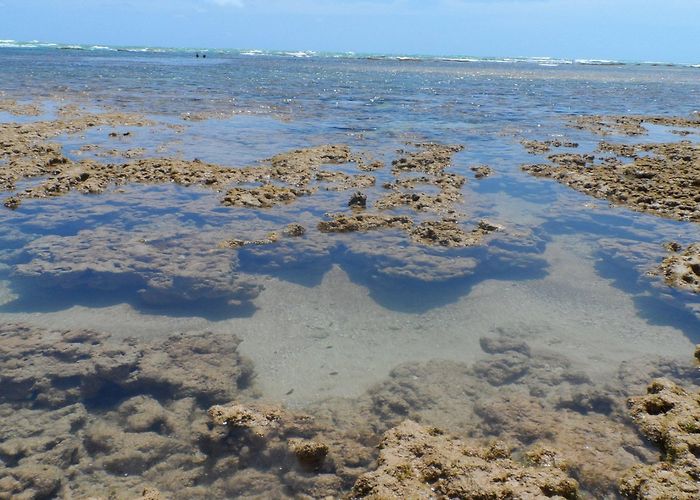 Areia Vermelha Island KANOA POUSADA E BAR - Prices & Hotel Reviews (Cabedelo, Brazil) photo