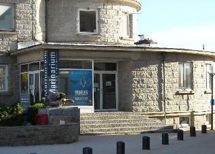 Marinarium LE MARINARIUM DE CONCARNEAU : 2024 horaires, tarifs, animaux à ... photo