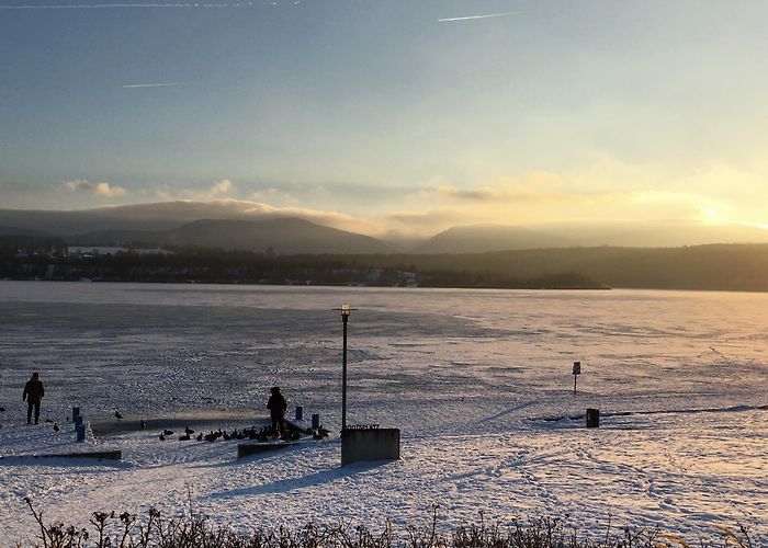 Museum Kirche zum Heiligen Kreuz Visit Zittau: 2024 Travel Guide for Zittau, Saxony | Expedia photo