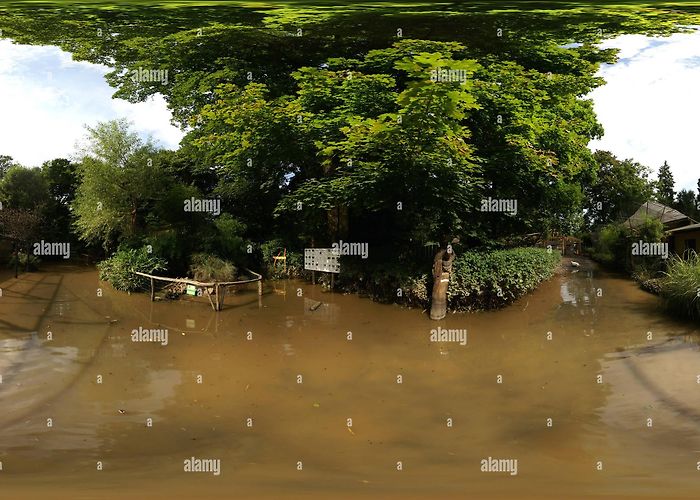 Tierpark Zittau 360° view of Hochwasser Flood Tierpark Weinau Zittau 10 - Alamy photo