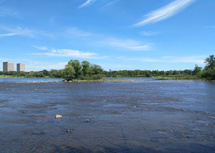 Bate Island the island - Picture of Bate Island, Ottawa - Tripadvisor photo