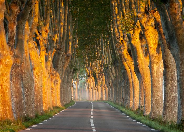 musée de l'aventure industrielle Visit Apt: 2024 Travel Guide for Apt, Provence-Alpes-Côte d'Azur ... photo