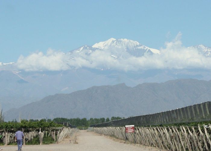 Polo Winery One Vine Wines Introduces Argentina's Bodega Polo To the US photo