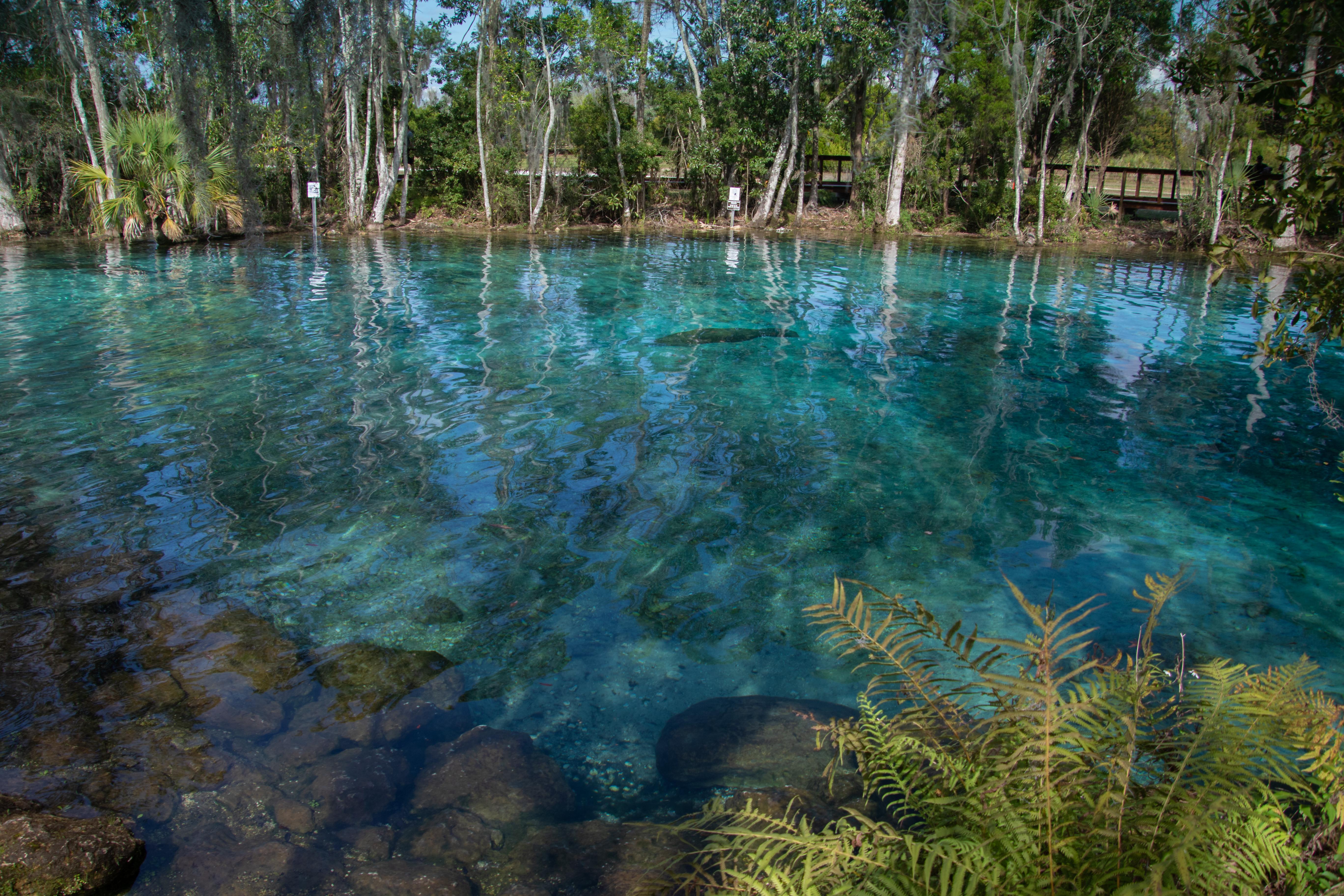 Crystal River photo