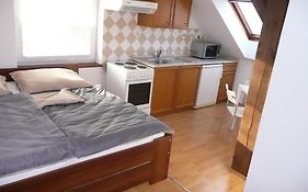 Apartments U Cara Ceske Budejovice Room photo