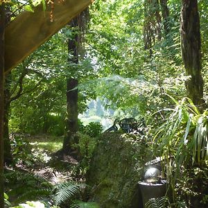 Mount Tutu Eco-Sanctuary Panzió Ohauiti Exterior photo