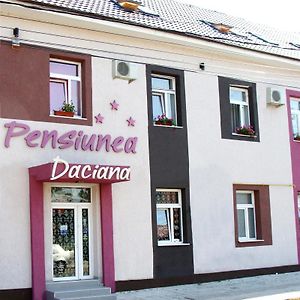 Pension Daciana Bákó Exterior photo