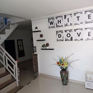 House White Dove Hotel Dalung  Exterior photo