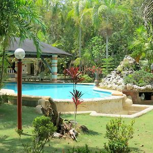 Alonaland Resort Panglao Exterior photo