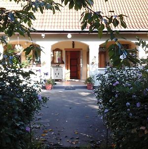 Dutch Farm in Felsőlajos Apartman Exterior photo