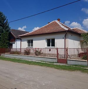 Czinege Vendégház - Kis ház Poroszló Exterior photo