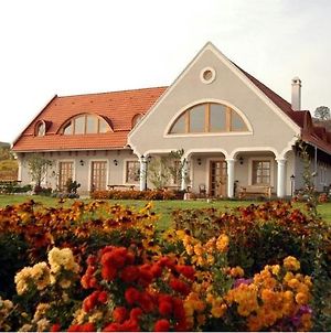 Koczor Winery & Guesthouse Balatonfüred Exterior photo