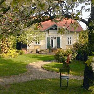 Villa Mimi Sopron Exterior photo