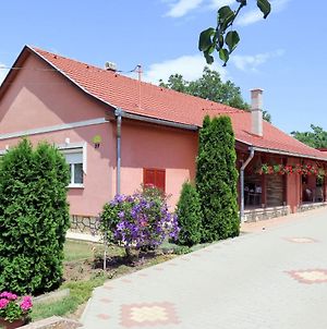 Holiday Home Brigi - Sza113 By Interhome Balatonszarszo Exterior photo