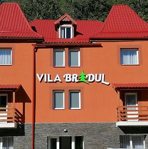 Vila Bradul Hotel Gyilkostó Exterior photo