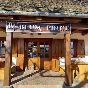Blum Pince - Borozó Vendégház Villány Exterior photo