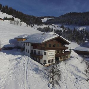 Modern Apartment Near Ski Area In Maria Alm Exterior photo