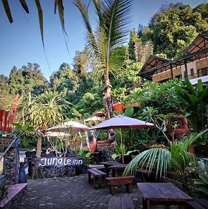 Jungle Inn Bukit Lawang Exterior photo