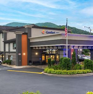 Comfort Inn Tunnel Road And I-40 Asheville Exterior photo