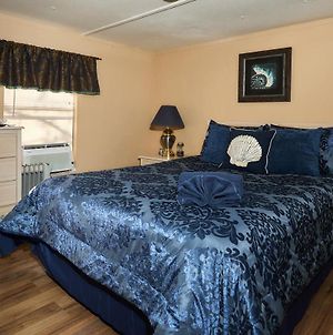 Room In Guest Room - Pleasant Days Bb Scallop Room Homosassa Exterior photo