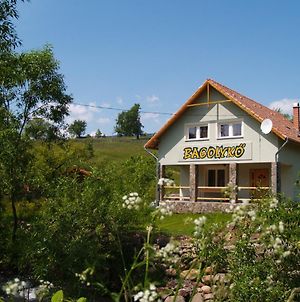 Bagolyko Guesthouse Ivó Exterior photo