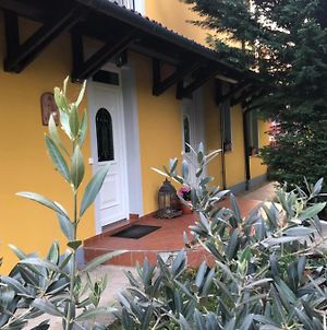 Villa Toscana Hajdúszoboszló Exterior photo