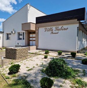 Villa Gabino Balatonberény Exterior photo