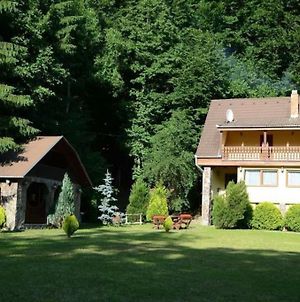 Marefalvi Vendeghaz Villa Homoródfürdő Exterior photo